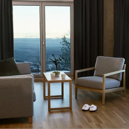Hotel Wood 4*
