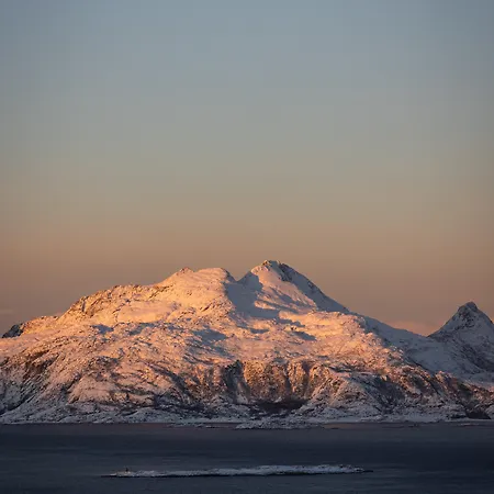 Wood Hotel Bodø