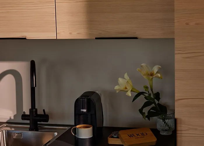 Hotel Wood 4*
