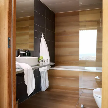 Wood Hotel 4*